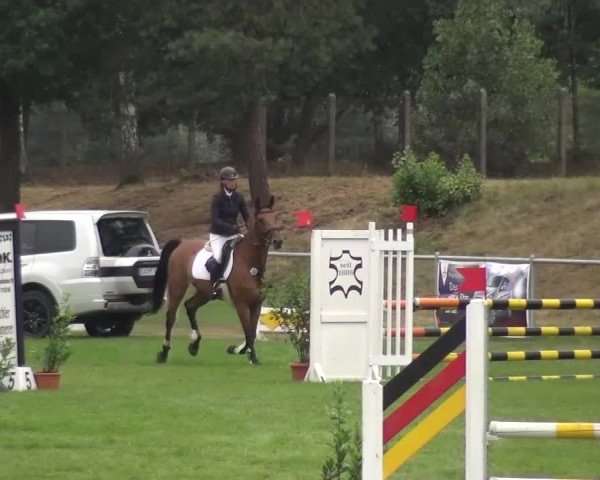 Reitturnier Gardelegen 2016