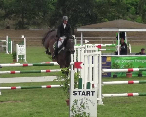 Reitturnier Gardelegen 2016