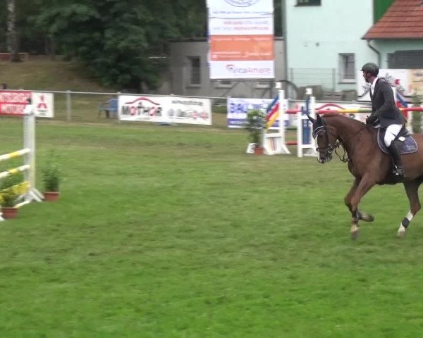 Reitturnier Gardelegen 2016