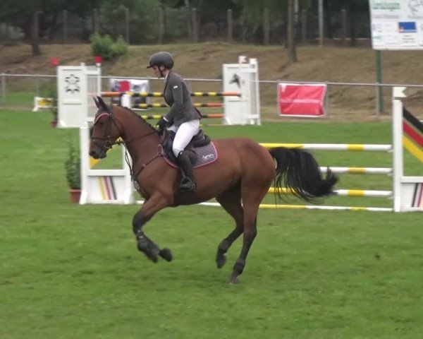 Reitturnier Gardelegen 2016