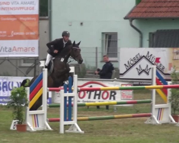 Reitturnier Gardelegen 2016
