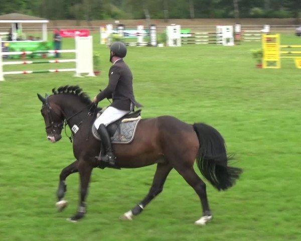 Reitturnier Gardelegen 2016