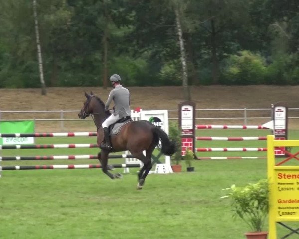 Reitturnier Gardelegen 2016