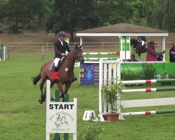 Reitturnier Gardelegen 2016