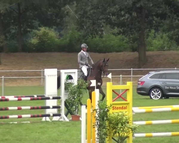 Reitturnier Gardelegen 2016