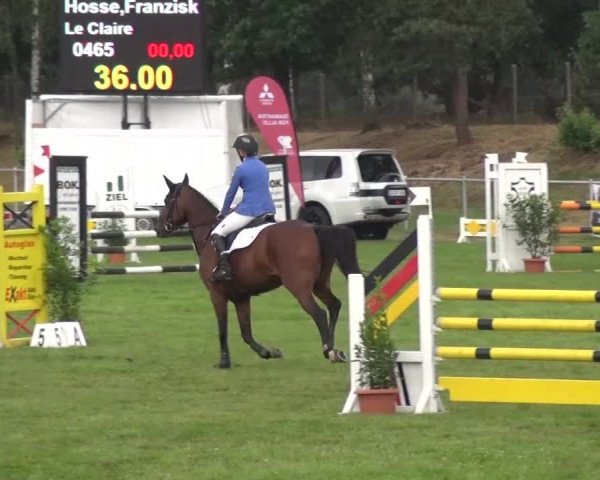 Reitturnier Gardelegen 2016
