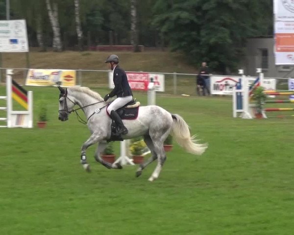 Reitturnier Gardelegen 2016