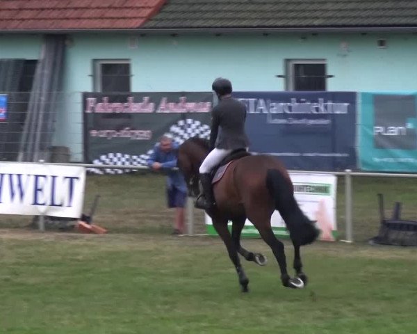 Reitturnier Gardelegen 2016