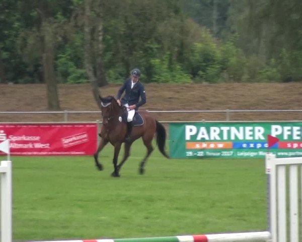 Reitturnier Gardelegen 2016