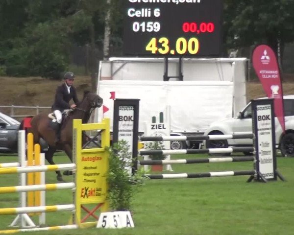 Reitturnier Gardelegen 2016