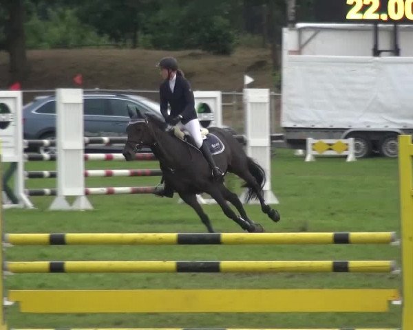 Reitturnier Gardelegen 2016
