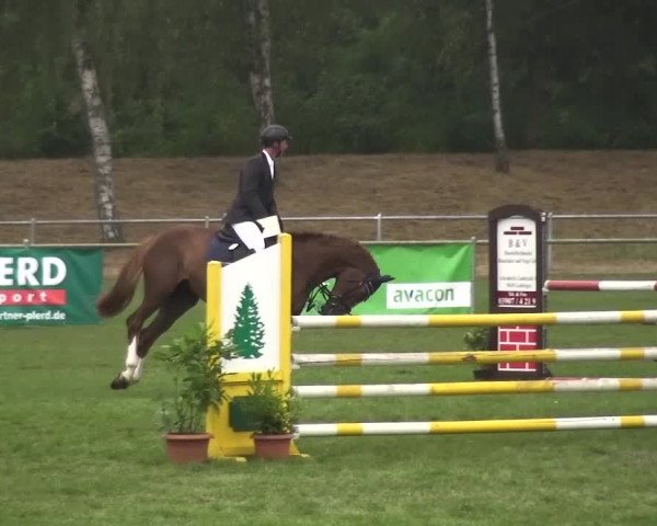 Reitturnier Gardelegen 2016