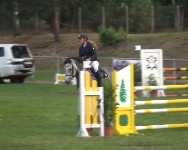Reitturnier Gardelegen 2016