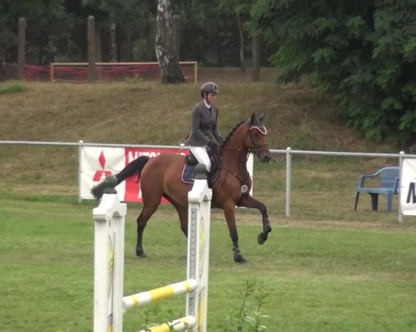 Reitturnier Gardelegen 2016
