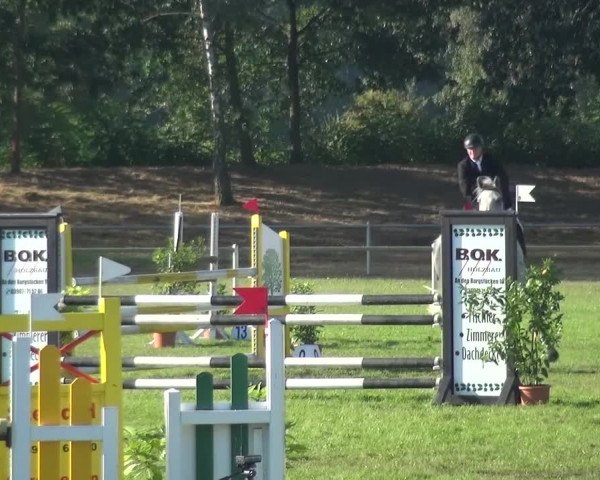 Reitturnier Gardelegen 2016