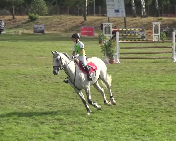 Reitturnier Gardelegen 2016