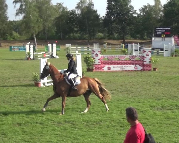 Reitturnier Gardelegen 2016
