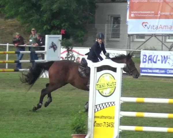 Reitturnier Gardelegen 2016