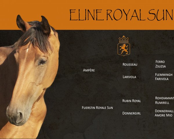broodmare Eline Royal Sun (KWPN (Royal Dutch Sporthorse), 2009, from Ampère)
