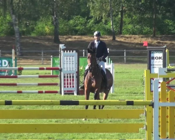 Reitturnier Gardelegen 2016
