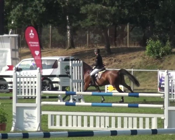 Reitturnier Gardelegen 2016