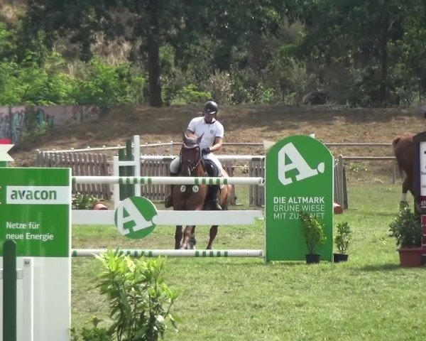 Reitturnier Gardelegen 2016