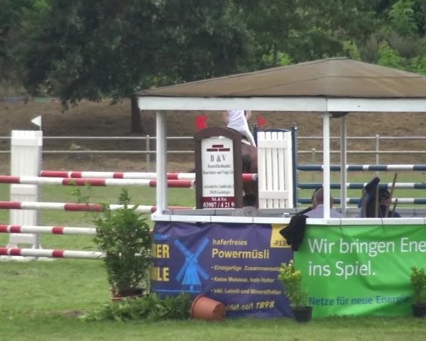 Reitturnier Gardelegen 2016