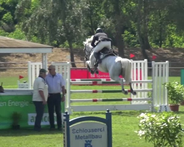 Reitturnier Gardelegen 2016