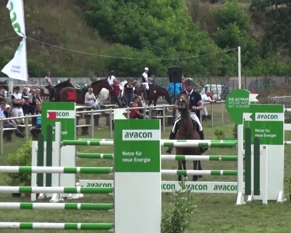 Reitturnier Gardelegen 2016