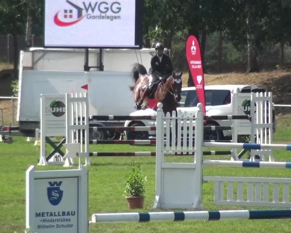 Reitturnier Gardelegen 2016