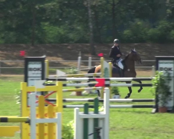 Reitturnier Gardelegen 2016