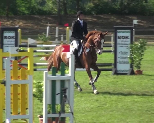 Reitturnier Gardelegen 2016
