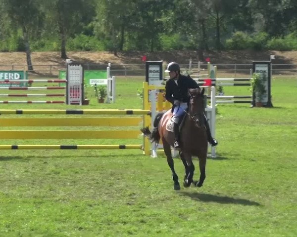 Reitturnier Gardelegen 2016