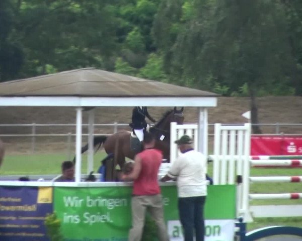 Reitturnier Gardelegen 2016