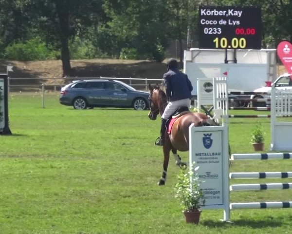 Reitturnier Gardelegen 2016