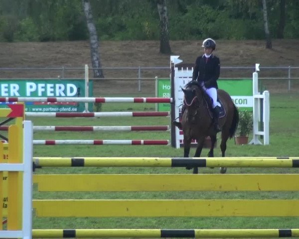 Reitturnier Gardelegen 2016