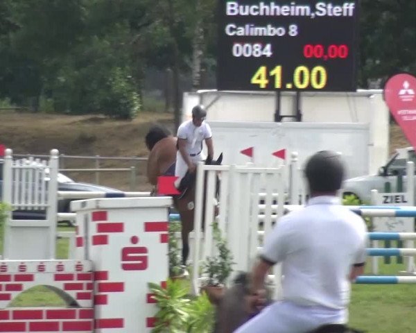 Reitturnier Gardelegen 2016