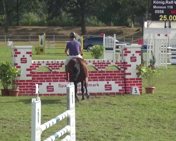 Reitturnier Gardelegen 2016