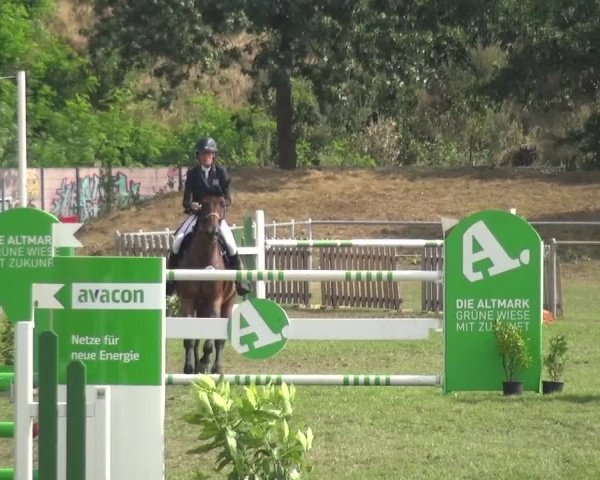 Reitturnier Gardelegen 2016