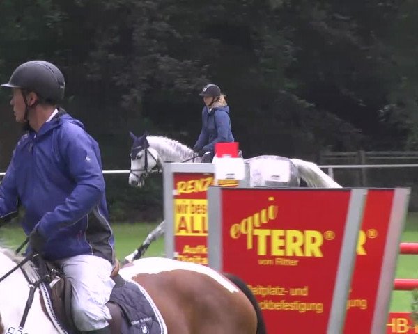 Reitturnier Memmingen 2016
