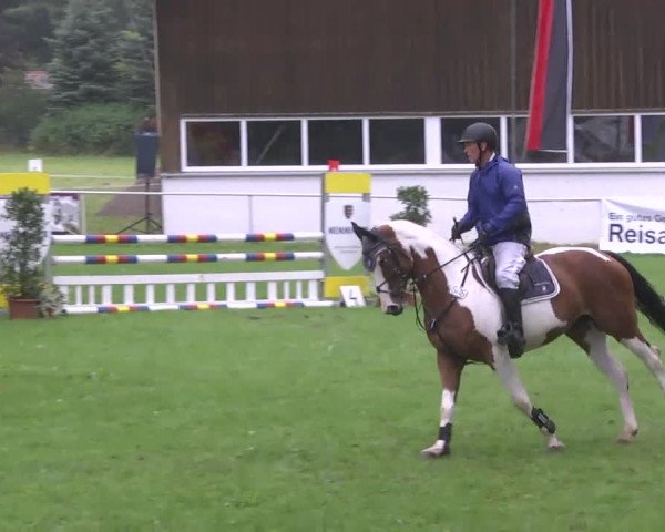 Reitturnier Memmingen 2016