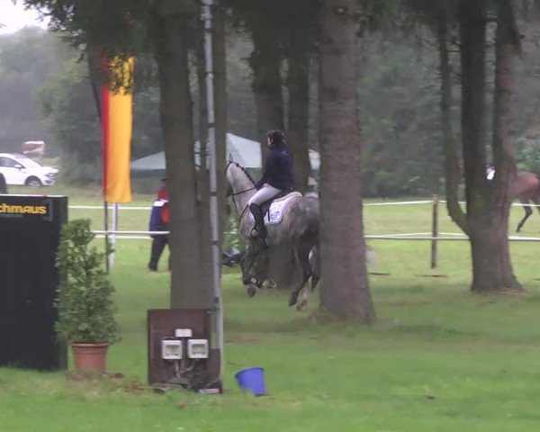 Reitturnier Memmingen 2016