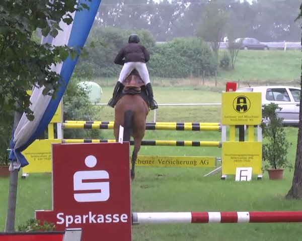 Reitturnier Memmingen 2016