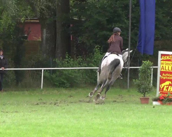 Reitturnier Memmingen 2016