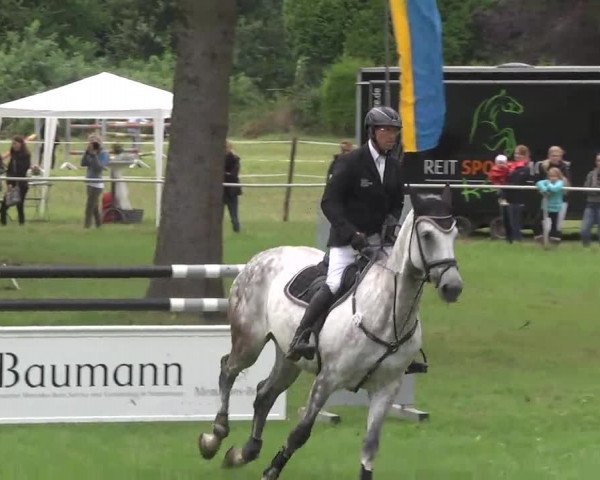 Reitturnier Memmingen 2016