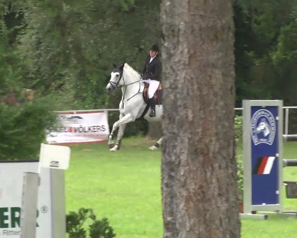 Reitturnier Memmingen 2016