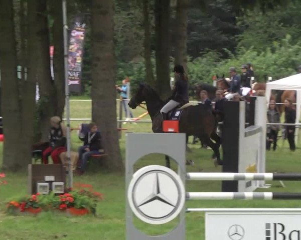 Reitturnier Memmingen 2016