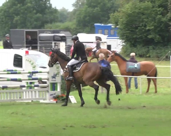 Reitturnier Memmingen 2016
