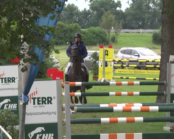 Reitturnier Memmingen 2016