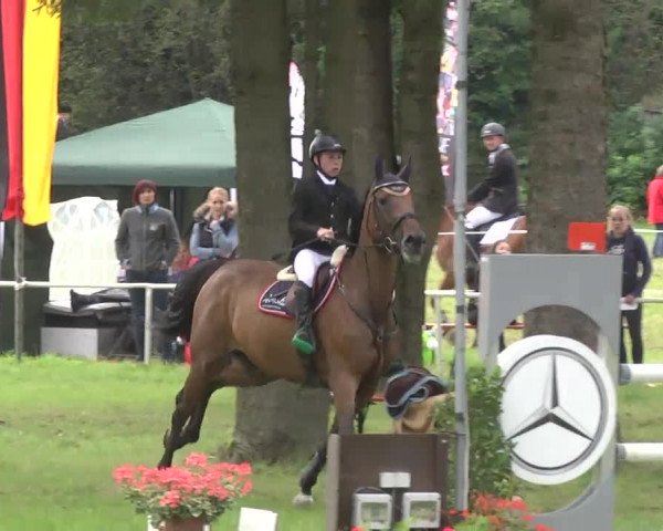 Reitturnier Memmingen 2016